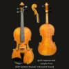 Violin – Heinrich Gill Falcon