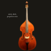 Bass – Shen SB200R  Roundback