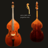 Bass – Shen SB200R  Roundback