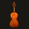 Violin – Raul Emiliani