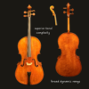 Violin – Raul Emiliani