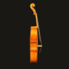Violin – Raul Emiliani