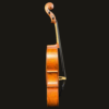 Cello – Nicolas Parola 3/4