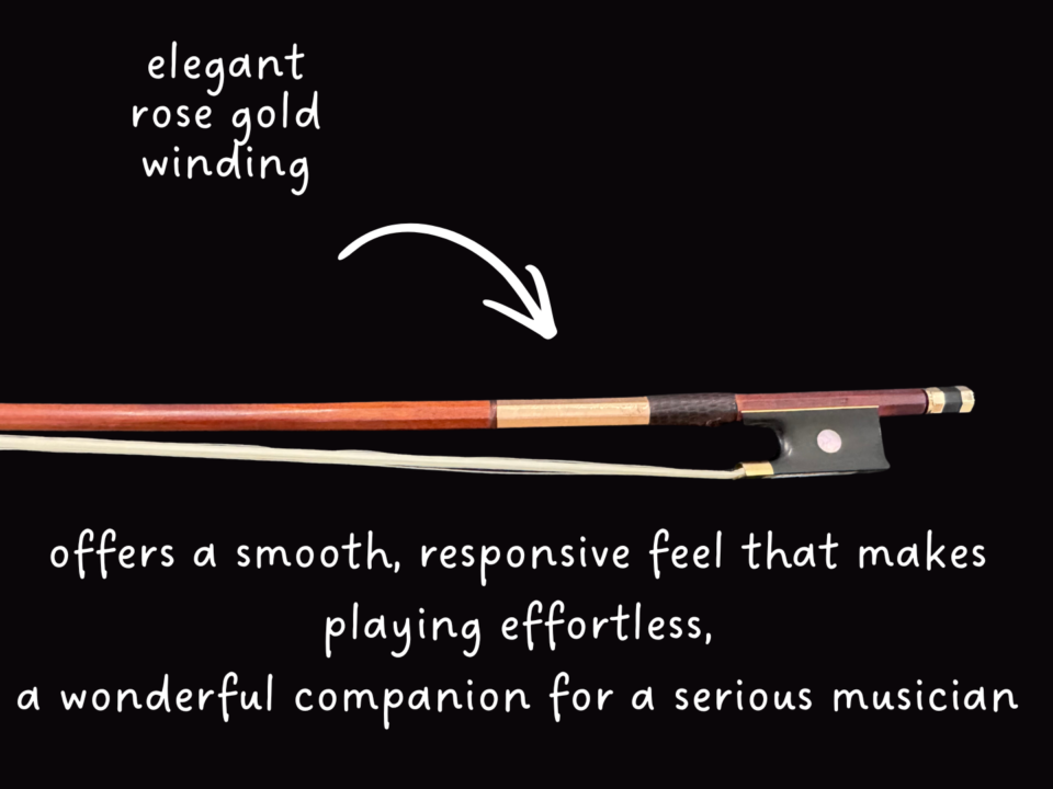 Violin Bow - BERNA