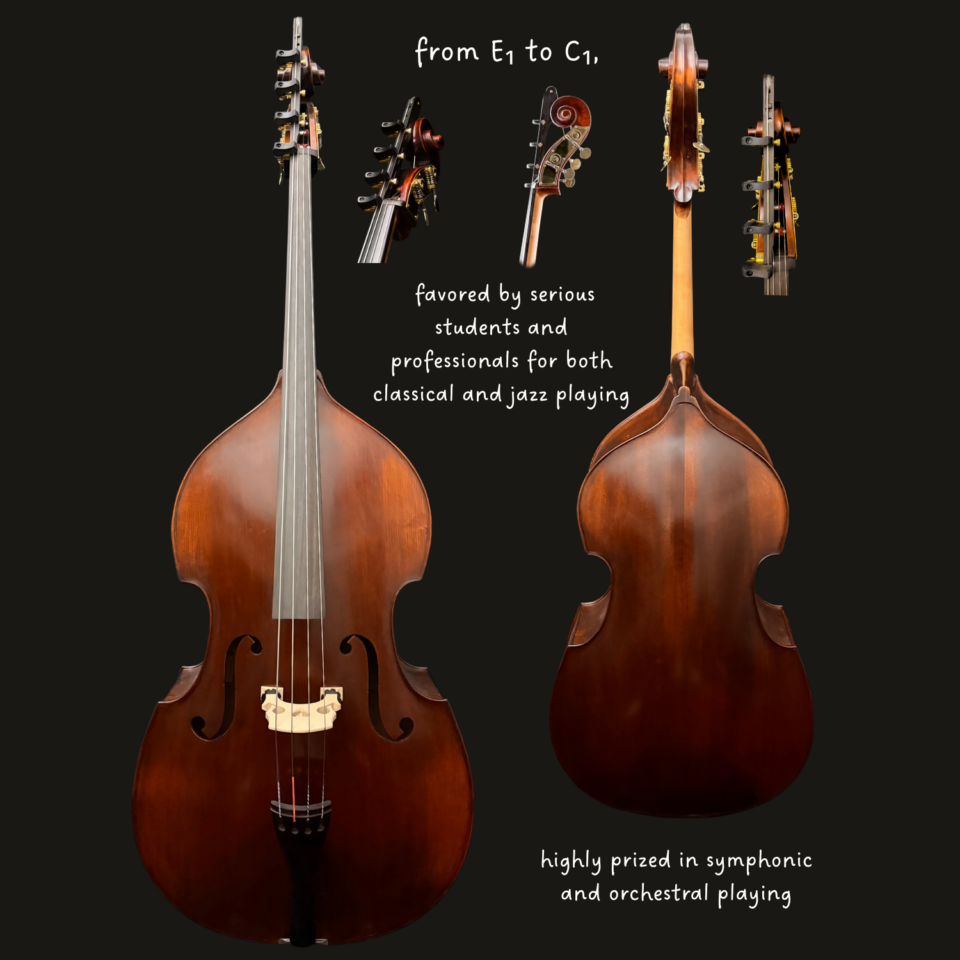 Bass - Andreas