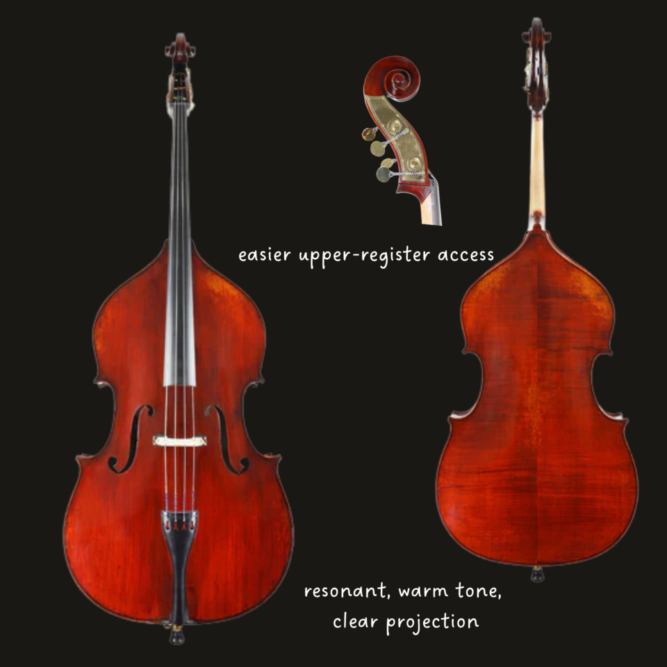 Bass - Jean-Pierre Lupot