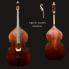 Bass – Eastman