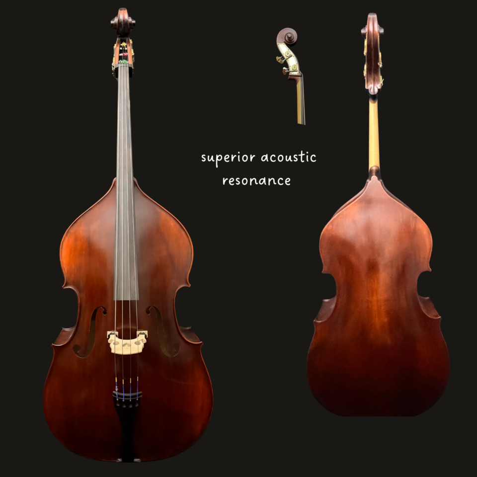 Bass - Eastman