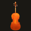 Cello – Jonathan Li