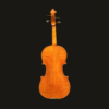 Violin – Snow Per Caso
