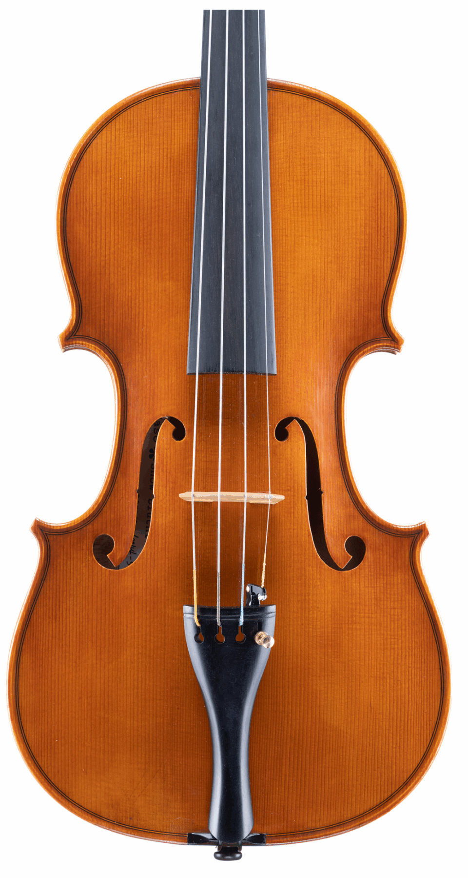 Violin - Snow Per Caso