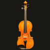 Violin – Snow Per Caso