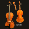 Violin – Snow Italian Spruce