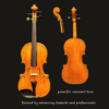 Violin – Snow Per Caso