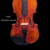 Violin – Beig