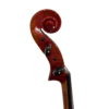 Cello – Josef Regh