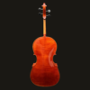 Cello – Josef Regh