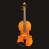 Violin – Beig