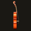 Cello – Josef Regh