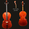 Cello – Josef Regh