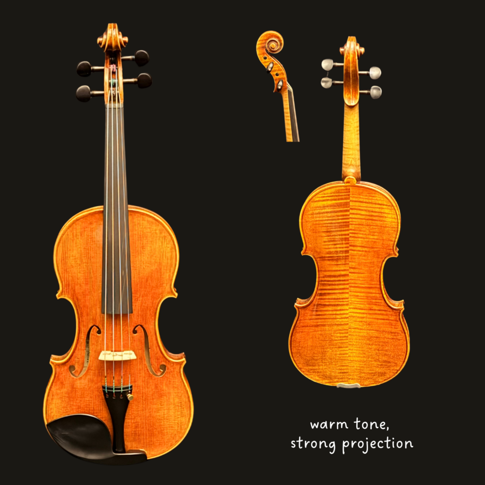 Violin - Beig