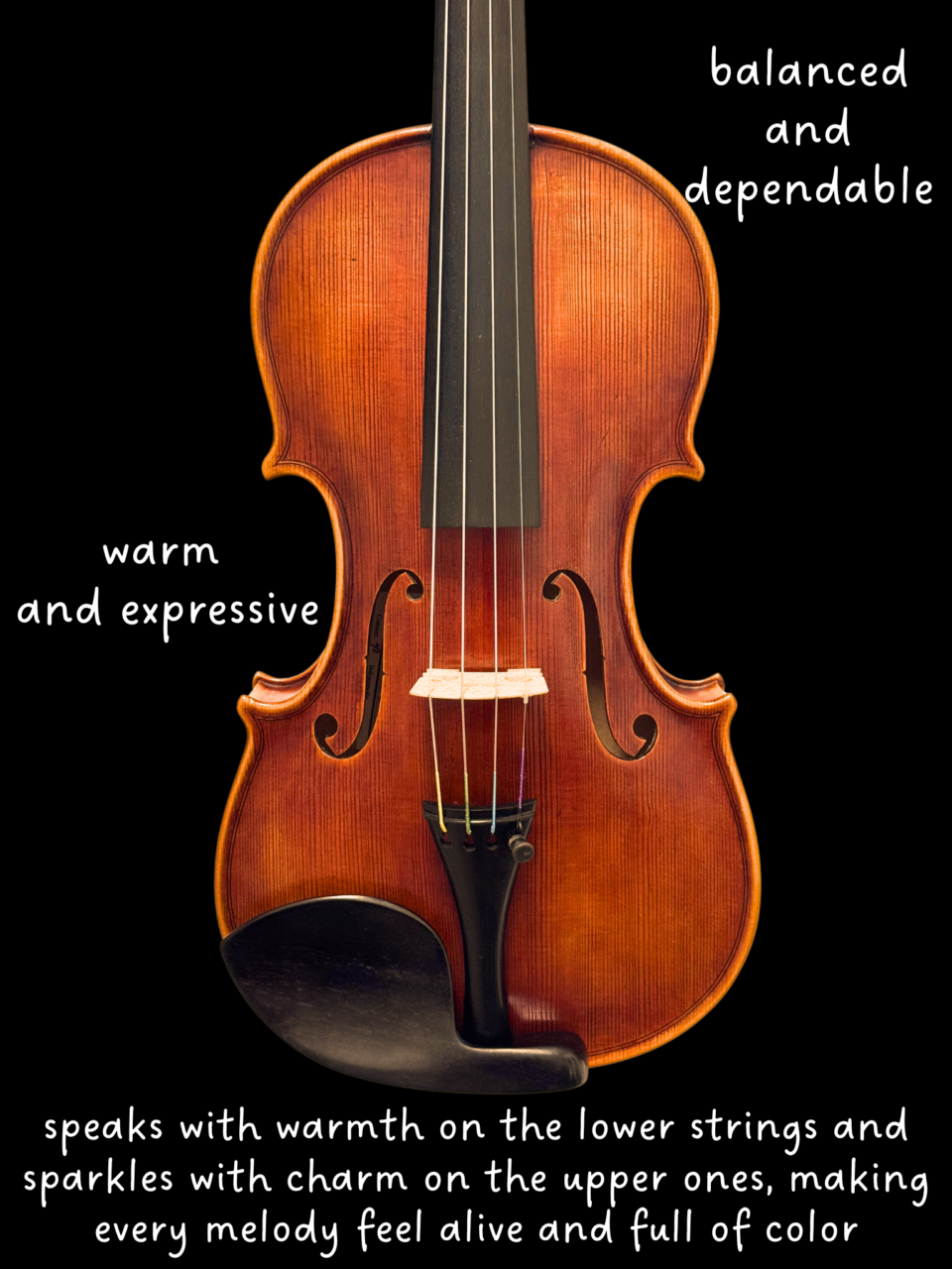 Violin - Florin