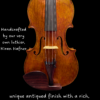 Violin – Hafner