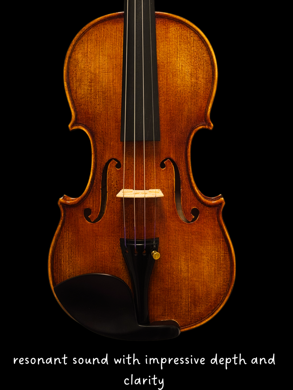 Violin - Heffler Model 80/2