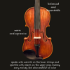 Violin – Florin