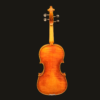 Violin – Florin
