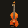Violin – Florin