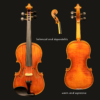 Violin – Florin