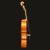 Cello – Fritz Bettermann