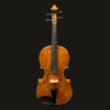 Viola – Kiran Hafner