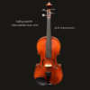 Viola – 14″ Eastman 305