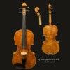 Viola – Kiran Hafner