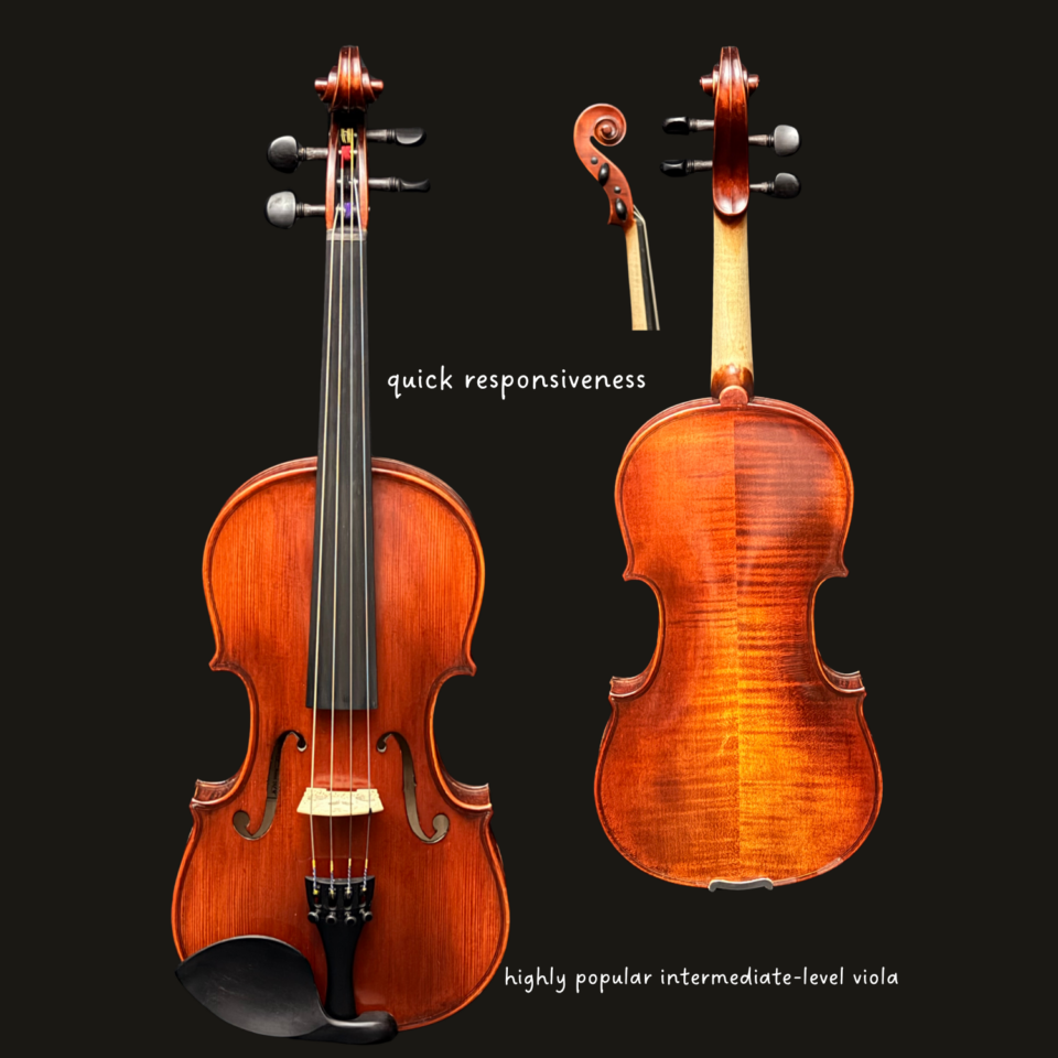 Viola - 14" Eastman 305