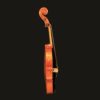 Viola – Snow SA400